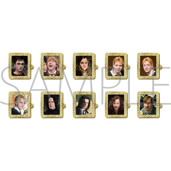 ハリーポッター　フィルム入り額縁 ハリーポッターシリーズのアートプリントを額装いたしました