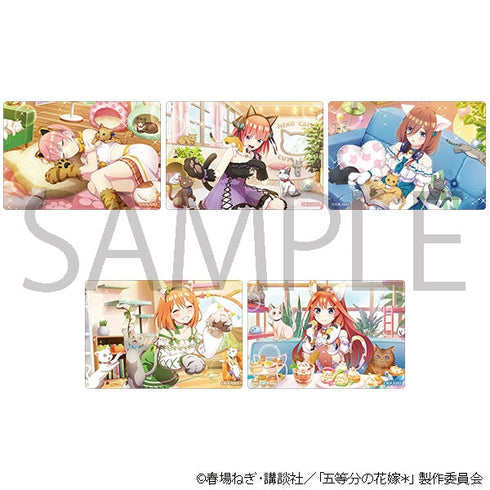 『五等分の花嫁*』アクリルシートコレクション(ネコカフェ)【BOX】