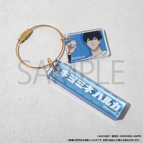 『忘却バッテリー』アクリルプレートキーホルダー/要 圭