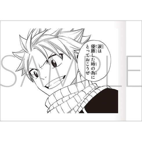 《Fairy Tail》帕夏可雷【BOX】