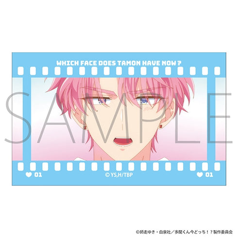 『多聞くん今どっち!?』フィルム風コレクション【BOX】