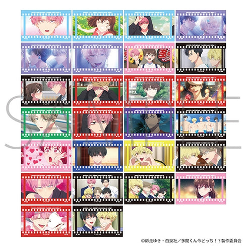 『多聞くん今どっち!?』フィルム風コレクション【BOX】