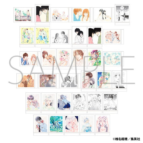 『椎名軽穂』ぱしゃこれ【BOX】
