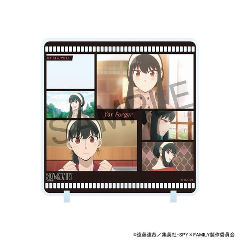 『SPY×FAMILY』キャラinスタンド ヨル・フォージャー