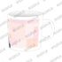 "Alya-san Next Door, Who Sometimes Murmurs Sweet Notices in Russian" 5th Anniversary POP-UP School Original Illustration Mug: Alya