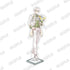 "Beads Log Bunko 20th Anniversary Fair" Acrylic Figure: "Even Though I'm a Timid Young Lady, I Ended Up Taking on My Shrewd Fiancé's Bet" — Rufus