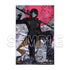 "Execute the Hero: Prison Records of Punishment Hero Squad 9004" Acrylic Plate, Volume 9