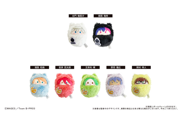 『B-PROJECT ~熱烈*ラブコール~』 くるみたぴぬいvol.1 BOX