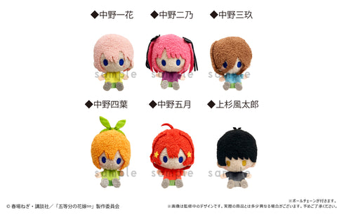 『五等分の花嫁∽』プラッシュマスコット BOX