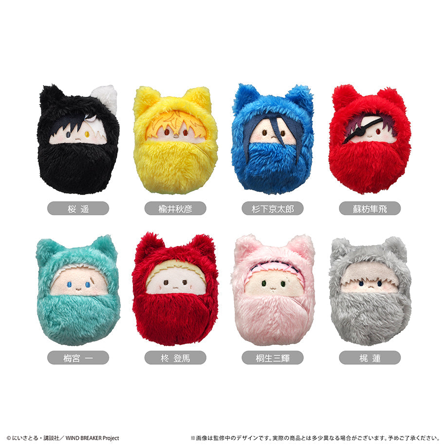 WIND BREAKER ウィンブレ くるみたぴぬい 新品 コンプリートボックス WIND BREAKER』くるみたぴぬい【BOX】 – Anime Store JP（アニメ