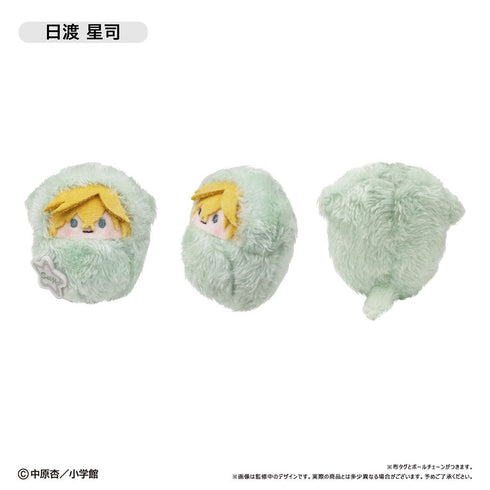 『きらりん☆レボリューション』くるみたぴぬい【BOX】