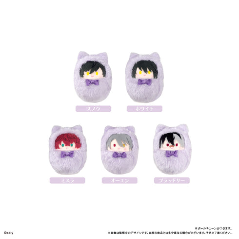 『魔法使いの約束』くるみたぴぬい vol.2【BOX】