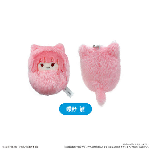 『アオのハコ』くるみたぴぬい【BOX】