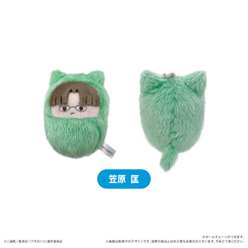 『アオのハコ』くるみたぴぬい【BOX】