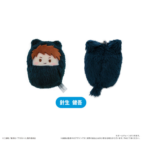 『アオのハコ』くるみたぴぬい【BOX】