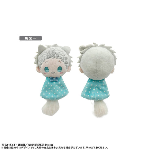 『WIND BREAKER』てるてるたぴぬい【BOX】