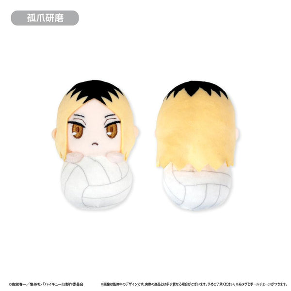 『ハイキュー!!』ぴょこぬい 孤爪研磨