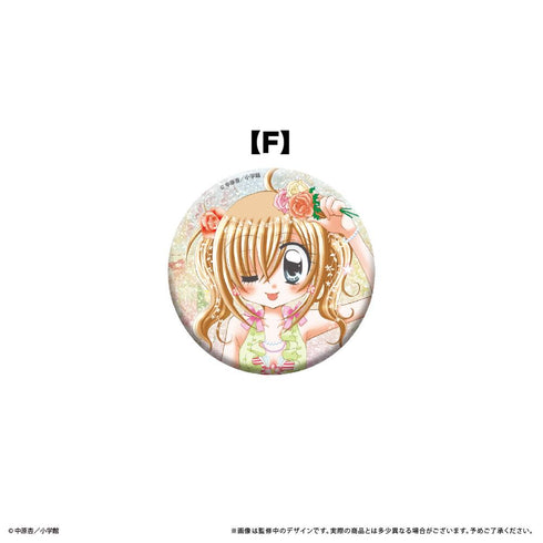 『きらりん☆レボリューション』ラメ缶バッジ【BOX】