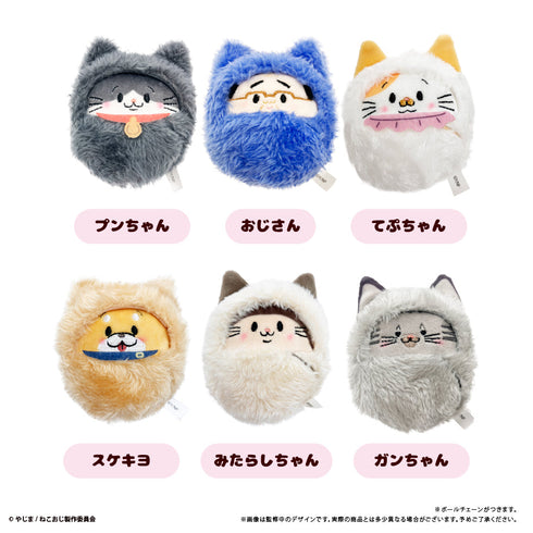 『ねこに転生したおじさん』くるみたぴぬい【BOX】