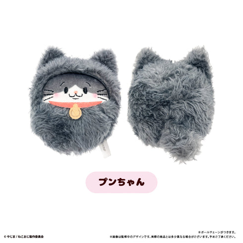 『ねこに転生したおじさん』くるみたぴぬい【BOX】