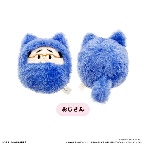 『ねこに転生したおじさん』くるみたぴぬい【BOX】