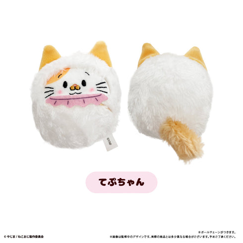 『ねこに転生したおじさん』くるみたぴぬい【BOX】