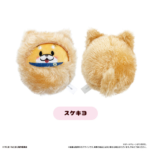 『ねこに転生したおじさん』くるみたぴぬい【BOX】