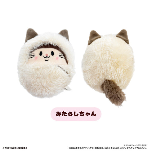 『ねこに転生したおじさん』くるみたぴぬい【BOX】