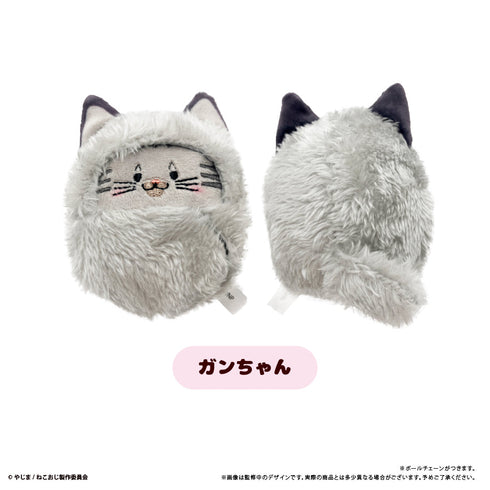 『ねこに転生したおじさん』くるみたぴぬい【BOX】