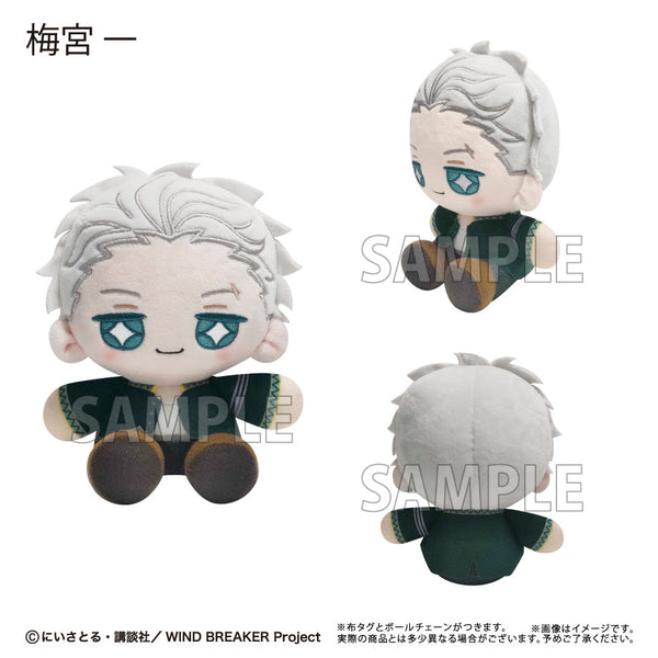 『WIND BREAKER』ミニおすわりたぴぬいVol.2 梅宮 一