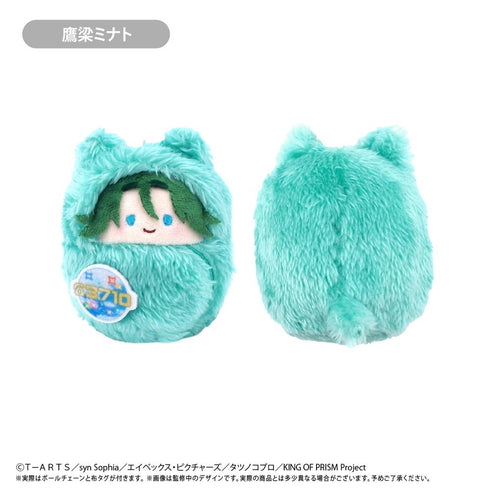 『KING OF PRISM』くるみたぴぬい【BOX】