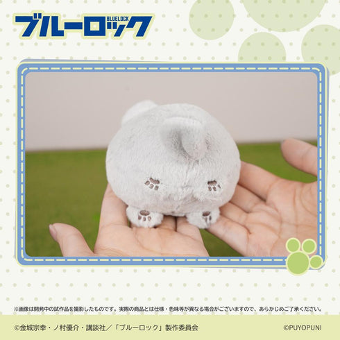 『ブルーロック』ぷよぷにシリーズ 10cmにゃんこだんごぬいぐるみマスコット 凪誠士郎