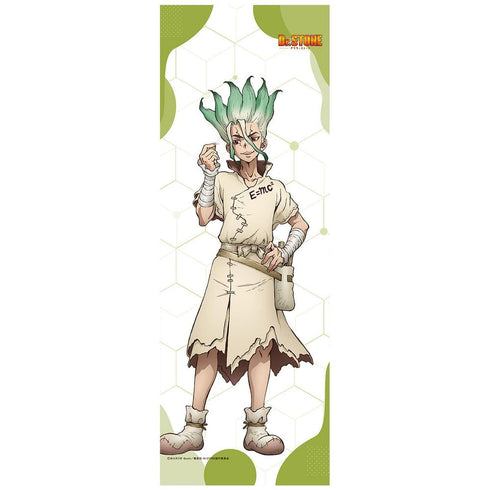 『Dr.STONE』【描き下ろし】ミニタペストリー 石神千空(桜)【202504再販】