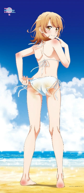 『やはり俺の青春ラブコメはまちがっている。完』【描き下ろし】海辺ビキニBIGタペストリーいろは【202605再販】