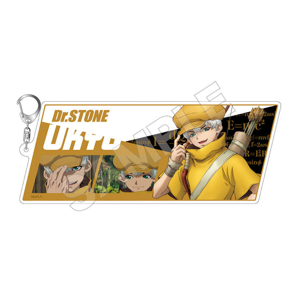『Dr.STONE』NEW WORLD アクリルキーホルダーBIG 西園寺羽京【202504再販】
