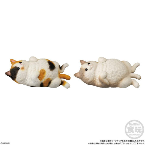 『ねこ』【食玩】もっちりころりん♪【BOX】