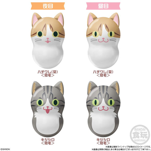 《库尼亚茨2》【食品玩具】【盒装】
