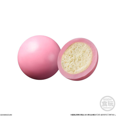 『おぱんちゅうさぎ×んぽちゃむ』【食玩】チョコがけビスケット マスコットつき【BOX】