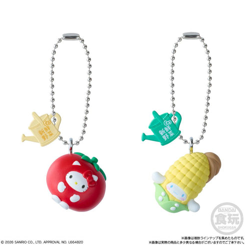 『サンリオキャラクターズ』【食玩】ベジタブルビスケット&チャーム【BOX】