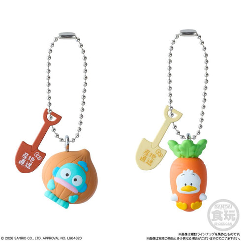 『サンリオキャラクターズ』【食玩】ベジタブルビスケット&チャーム【BOX】