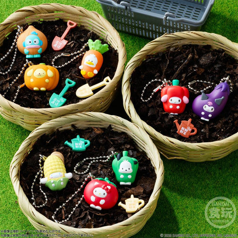 『サンリオキャラクターズ』【食玩】ベジタブルビスケット&チャーム【BOX】