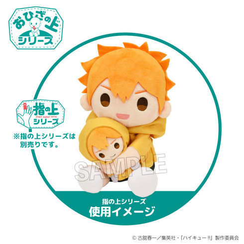 『ハイキュー!!』おひざの上シリーズ 雨の日ver. 日向翔陽