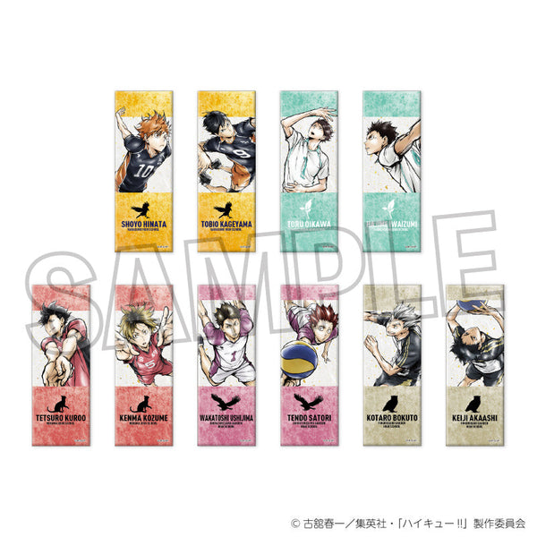 『ハイキュー!!』トレーディングロング缶バッジ 激闘!!BOX【BOX】
