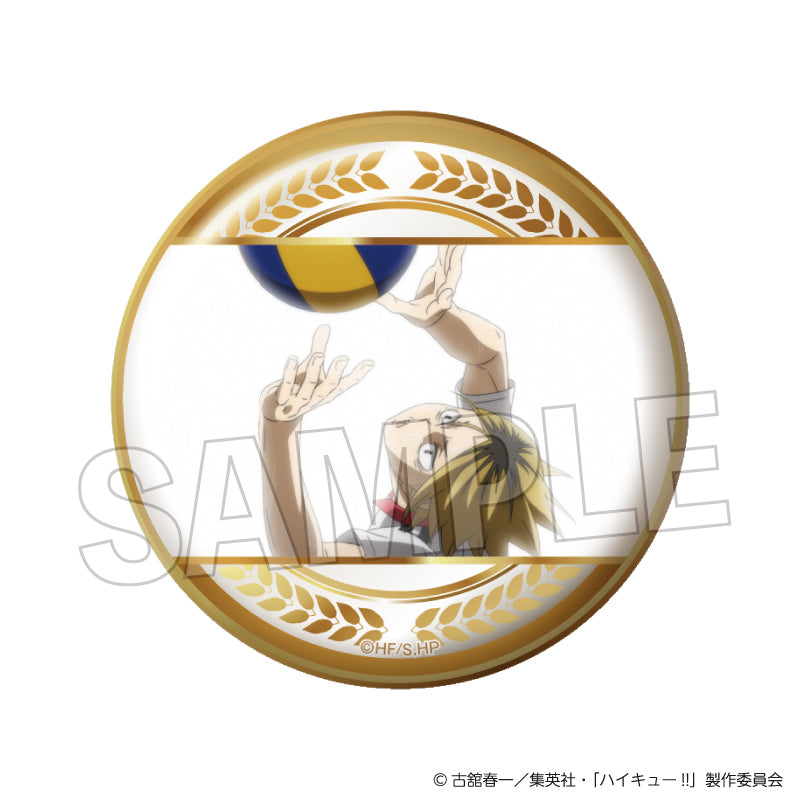 【劇場版ハイキュー】『アクションビジュアル/オーロラ』verカンバッジ8種コンプ ハイキュー トレーディング カンバッジ(缶バッジ) オーロラVer