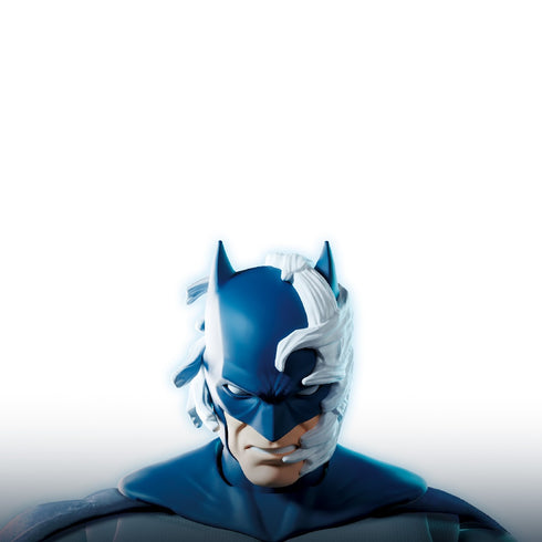 『バットマン:ハッシュ』Blokees DC CHAMPION CLASS CC05 /バットマン