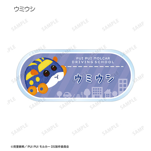『PUI PUI モルカー DRIVING SCHOOL』トレーディングアクリルネームプレート ver.B(全12種)BOX