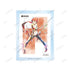 『#コンパス 戦闘摂理解析システム』輝龍院きらら Ani-Art aqua label A6アクリルパネル