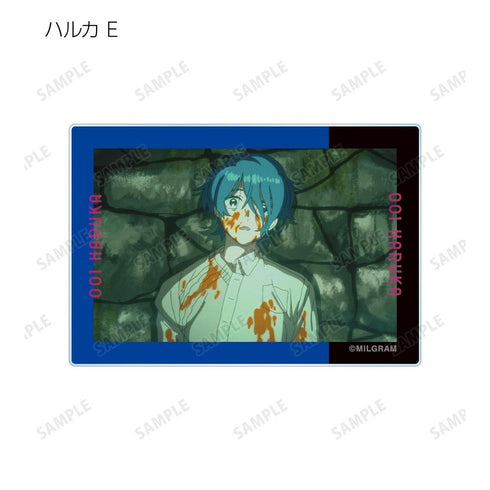 『MILGRAM -ミルグラム-』トレーディング MV アクリルカード ハルカ『全知全悩』(単位/BOX)【202606再販】