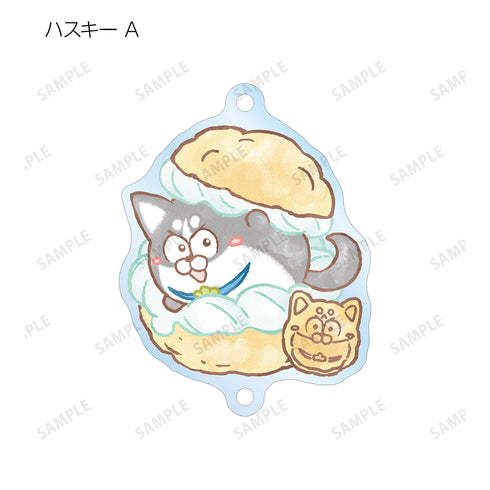 『おそ松さん 松⽝』トレーディング Ani-Art aqua label つながるアクリルキーホルダー (全12種)BOX