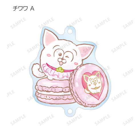『おそ松さん 松⽝』トレーディング Ani-Art aqua label つながるアクリルキーホルダー (全12種)BOX